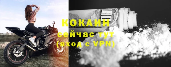 a pvp Дмитриев