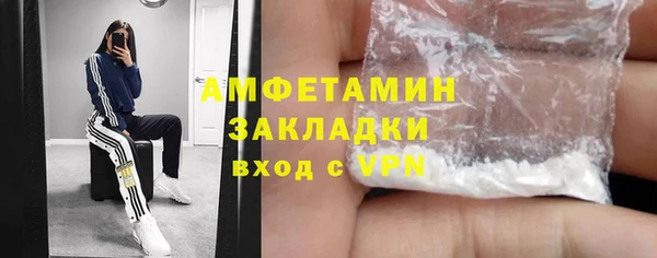 твердый Дмитров