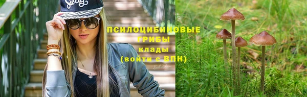 синтетический гашиш Дмитровск